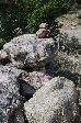 05_2008-0830-1543-48.jpg